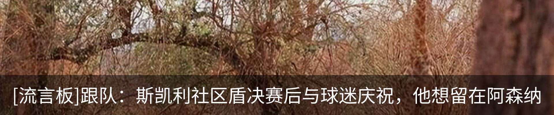 资讯动态